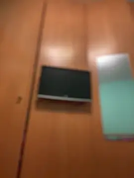 camelia3 online show from 10, 3, 2026