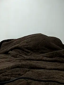 Snapshot of indianbulldelhi chatting on 27, 2, 2025 indianbulldelhi online show from 27, 2, 2025