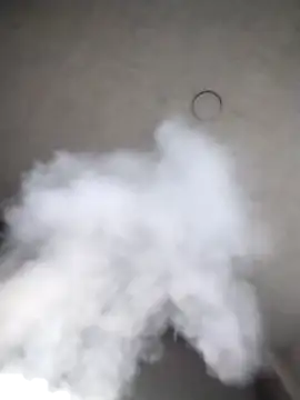 Chacal Armyy online show from 14, 11, 2025