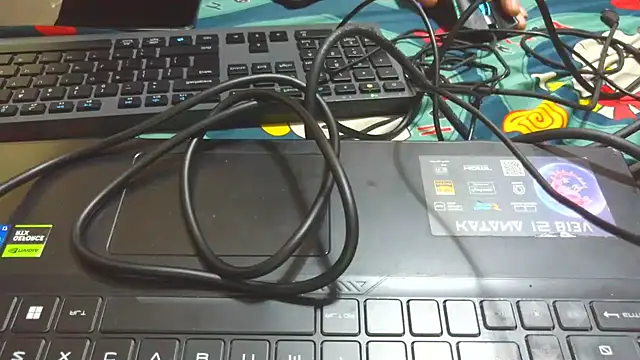 bigpennisboys online show from 22, 11, 2025