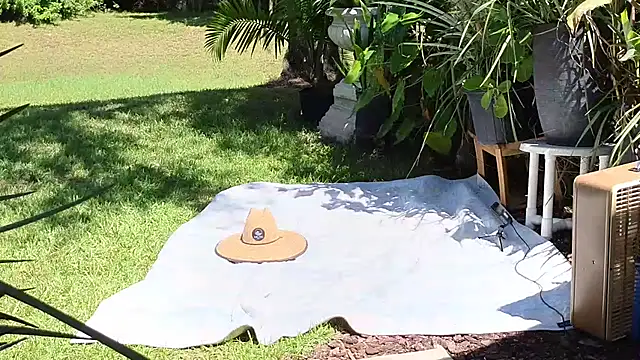 Snapshot of eliberator1777 chatting on 21, 9, 2025 eliberator1777 online show from 21, 9, 2025