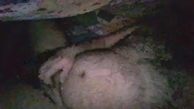 gerilom8787 online show from 4, 2, 2026