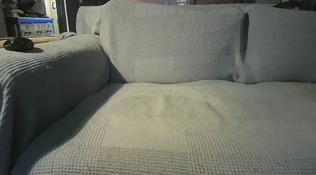 naked bear online show from 19, 12, 2024