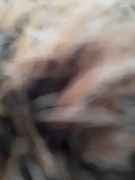 Dirtyfeelin online show from 22, 3, 2026