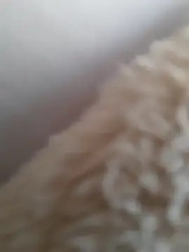 Snapshot of Dirtyfeelin chatting on 2, 3, 2025 Dirtyfeelin online show from 2, 3, 2025