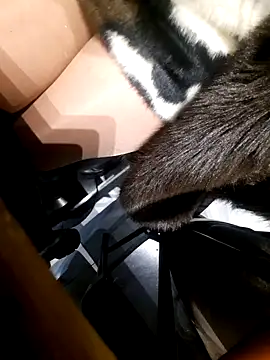 Snapshot of Dirtyfeelin chatting on 18, 11, 2025 Dirtyfeelin online show from 18, 11, 2025