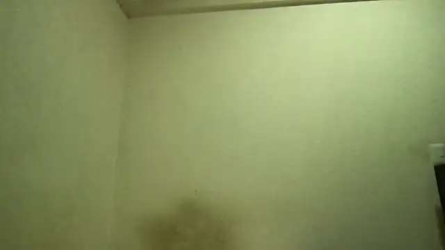 Magicwordsforme online show from 10, 3, 2025