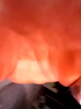 justinewe69 online show from 11, 2, 2026