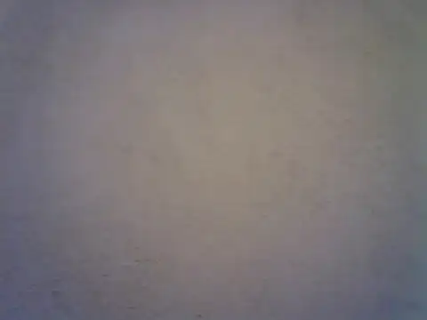 mopa81 online show from 3, 6, 2026