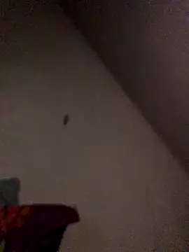 Chris-LE91 online show from 21, 9, 2025