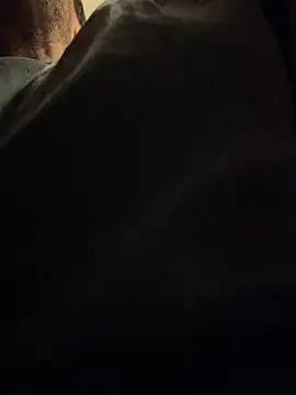 FireFox Feel online show from 29, 11, 2025