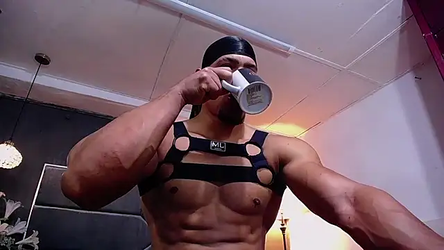 teddyfit19cm online show from 14, 2, 2026