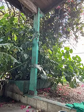 sofy alone online show from 13, 1, 2026