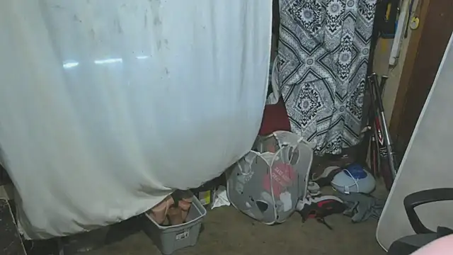 sex4fun 21 online show from 2, 4, 2026