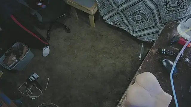 sex4fun 21 online show from 2, 11, 2025