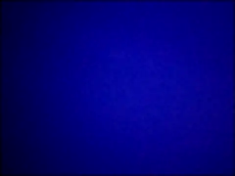 catdool online show from 12, 3, 2025