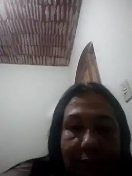 catdool online show from 29, 11, 2025