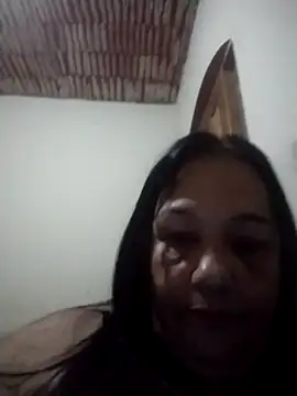 catdool online show from 20, 4, 2026