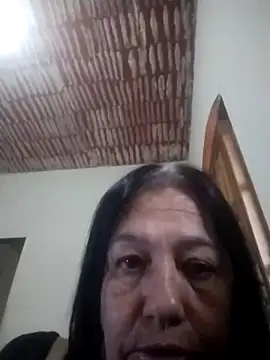 catdool online show from 12, 4, 2026