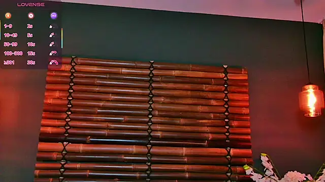 NikkiStarX online show from 14, 10, 2025