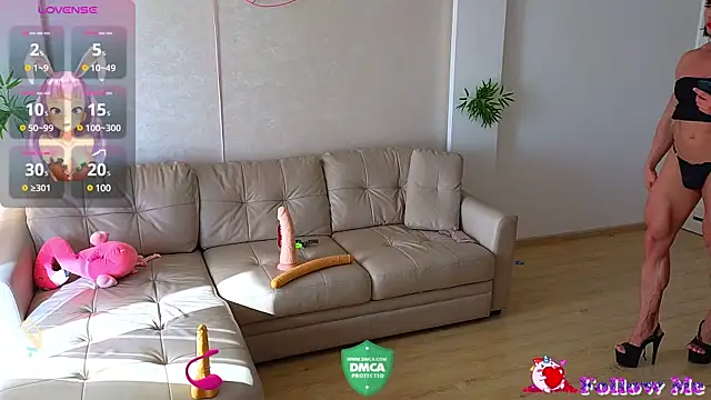 Rabbits couplee online show from 25, 1, 2025