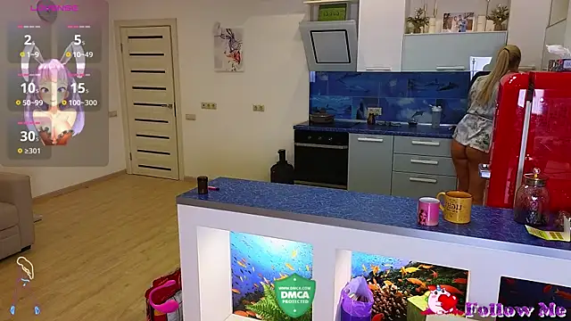 Rabbits couplee online show from 22, 3, 2025