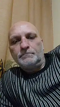 monev79 online show from 12, 2, 2026