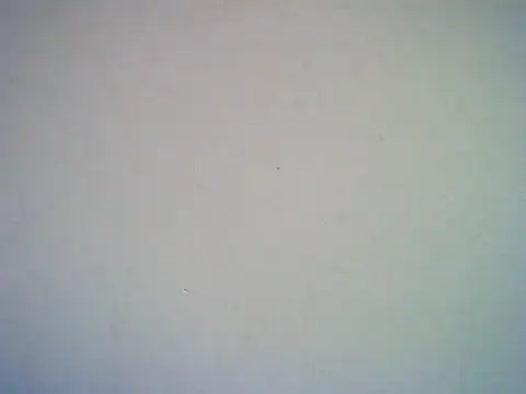 Snapshot of SweetAsianAss chatting on 20, 9, 2025 SweetAsianAss online show from 20, 9, 2025