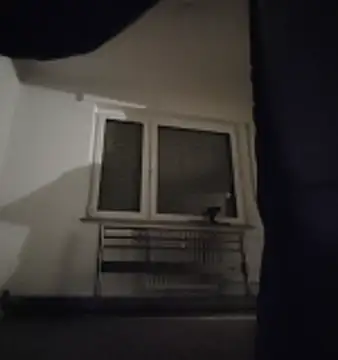 GermanBigDream online show from 3, 2, 2026