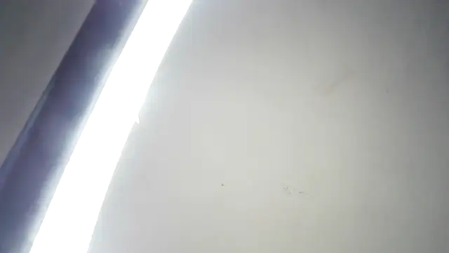 RinsingWood84 online show from 4, 3, 2026