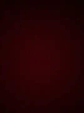 Katze22 online show from 17, 3, 2026