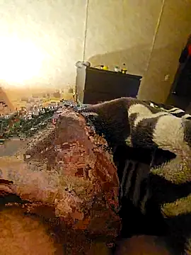 Snapshot of Advocate_420 chatting on 3, 12, 2025 Advocate 420 online show from 3, 12, 2025