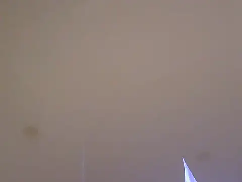 LionEdwin online show from 7, 4, 2026