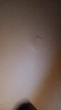 BunnyandClydeDk online show from 4, 3, 2025