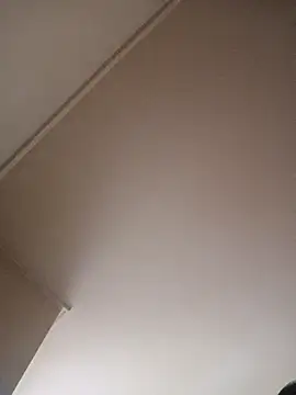 BunnyandClydeDk online show from 4, 3, 2025