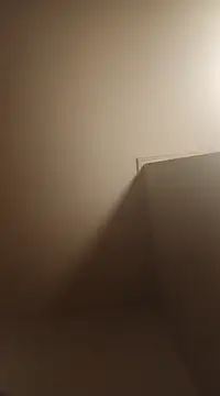 BunnyandClydeDk online show from 14, 1, 2025