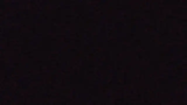 zaadslet2000 online show from 7, 6, 2026