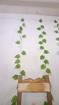 shayna all online show from 5, 1, 2026