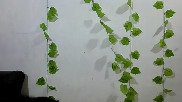 shayna all online show from 9, 9, 2025