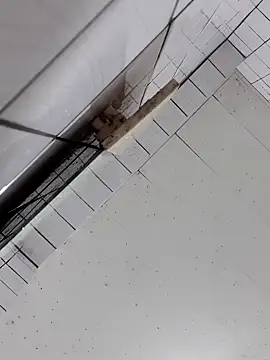 cindy01113520 online show from 2, 10, 2025