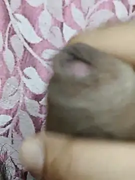 rockkyy9 online show from 4, 3, 2026