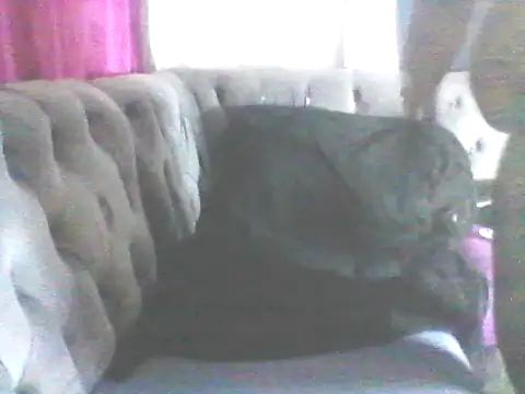 Wanderkid33 online show from 17, 1, 2026