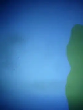 waspy online show from 7, 3, 2025