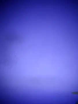 waspy online show from 8, 3, 2025