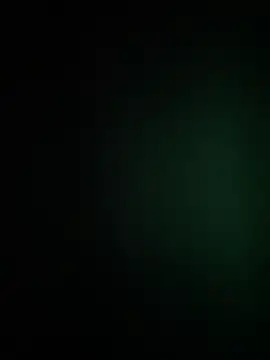 waspy online show from 4, 12, 2025