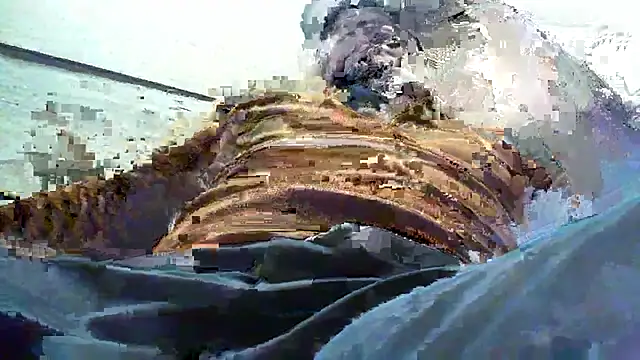 Snapshot of Billywax chatting on 8, 1, 2026 Billywax online show from 8, 1, 2026