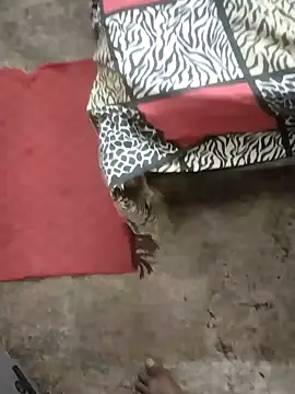 Snapshot of rameshmry1 chatting on 21, 1, 2025 rameshmry1 online show from 21, 1, 2025