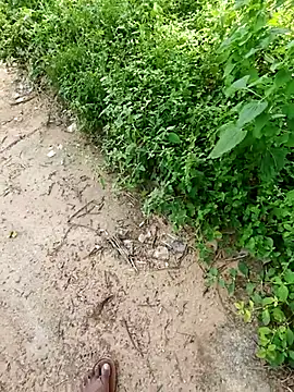 Snapshot of rameshmry1 chatting on 19, 10, 2025 rameshmry1 online show from 19, 10, 2025