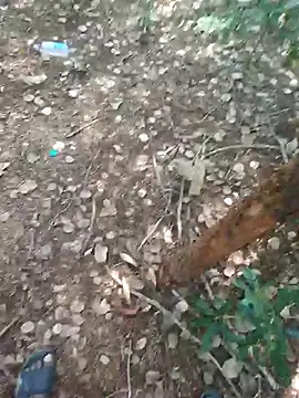 Snapshot of rameshmry1 chatting on 21, 2, 2026 rameshmry1 online show from 21, 2, 2026