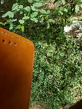 Snapshot of rameshmry1 chatting on 7, 1, 2026 rameshmry1 online show from 7, 1, 2026